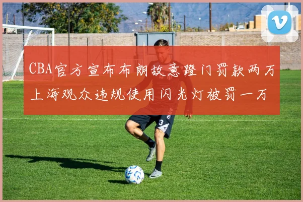 CBA官方宣布布朗故意蹬门罚款两万上海观众违规使用闪光灯被罚一万