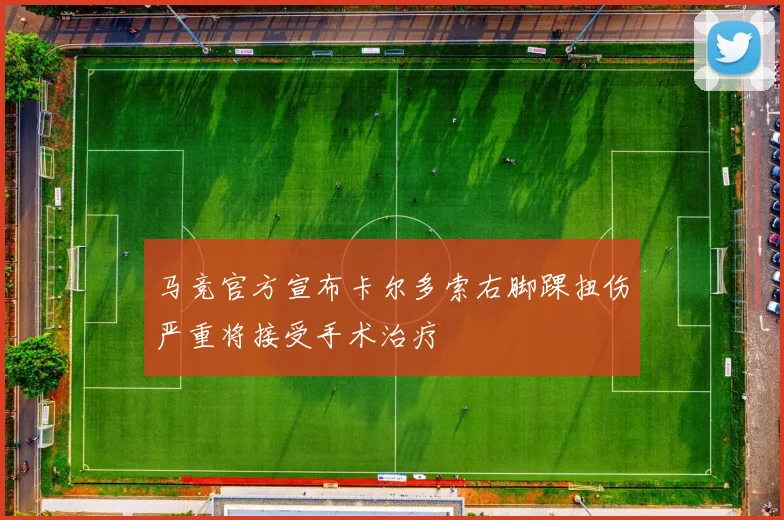 马竞官方宣布卡尔多索右脚踝扭伤严重将接受手术治疗