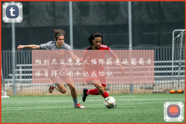 帕利尼亚愿意大幅降薪重返葡萄牙体育拜仁尚未达成协议