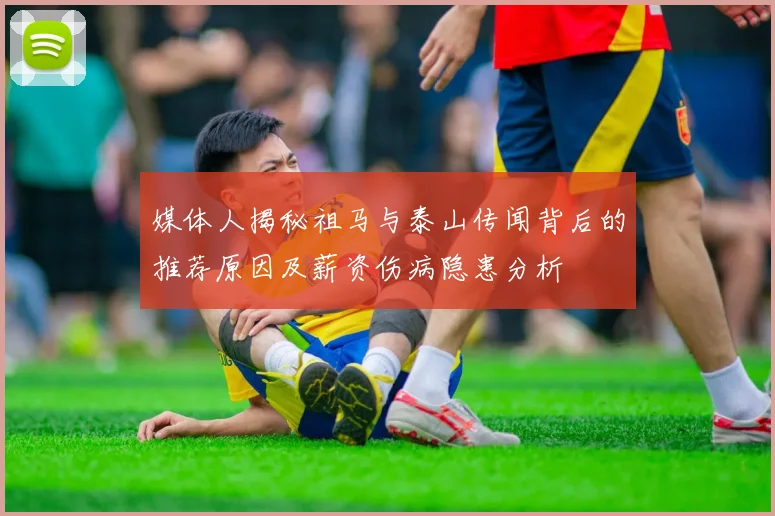 媒体人揭秘祖马与泰山传闻背后的推荐原因及薪资伤病隐患分析